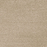 Invictus Darius 50oz Carpet