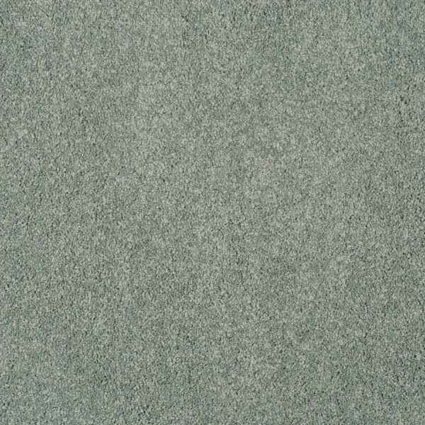 Magical Feeling Carpet