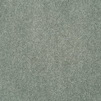Magical Feeling Carpet