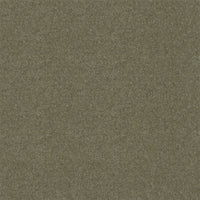 Spectrum Twist Classic 42oz Carpet