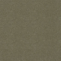 Spectrum Twist Regal 53oz Carpet