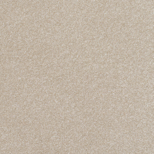 Pinnacle Carpet