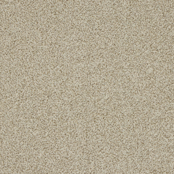 Westbourne Berber Carpet