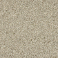Westbourne Berber Carpet