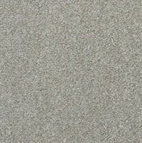 Seta Carpet