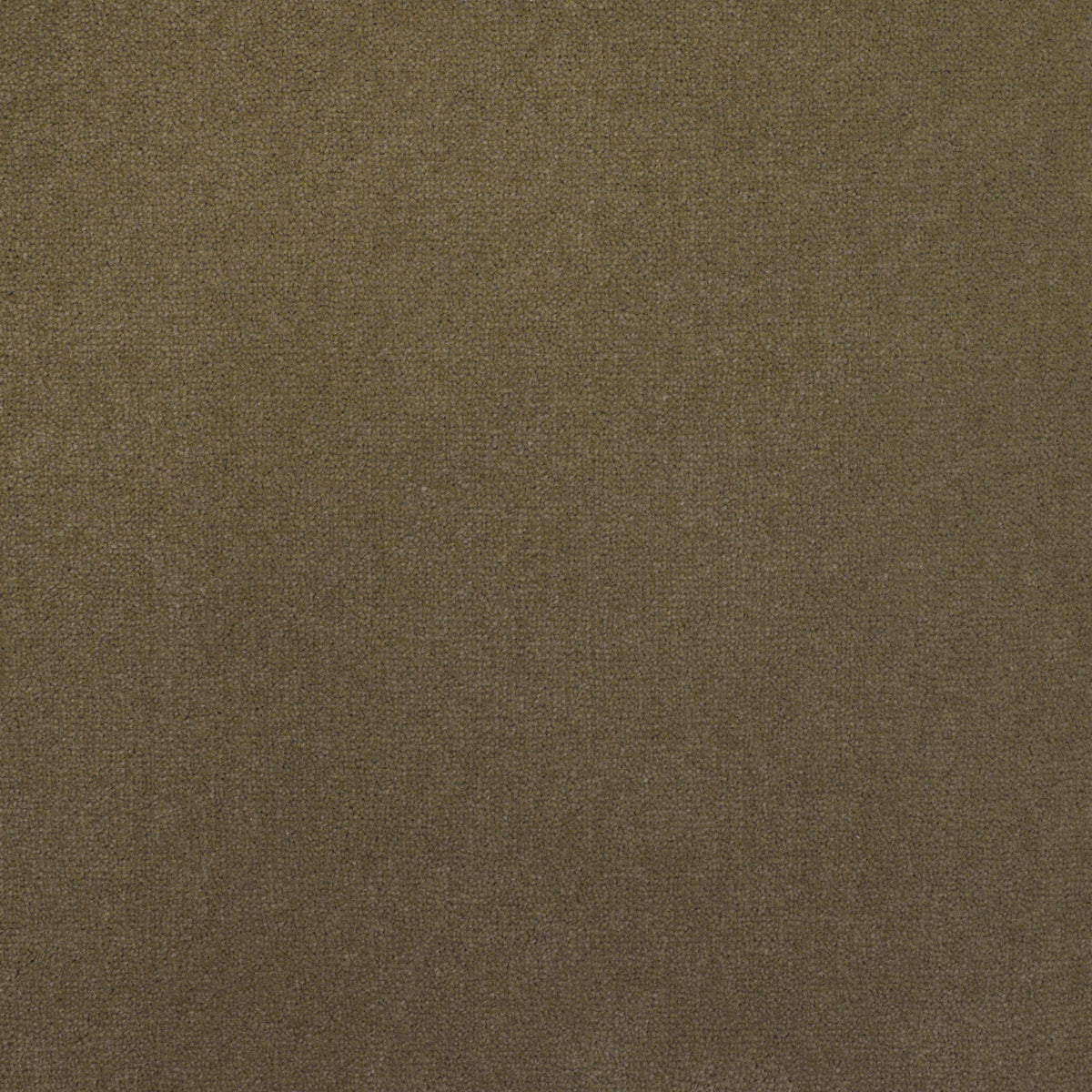 Royal Velvet Carpet