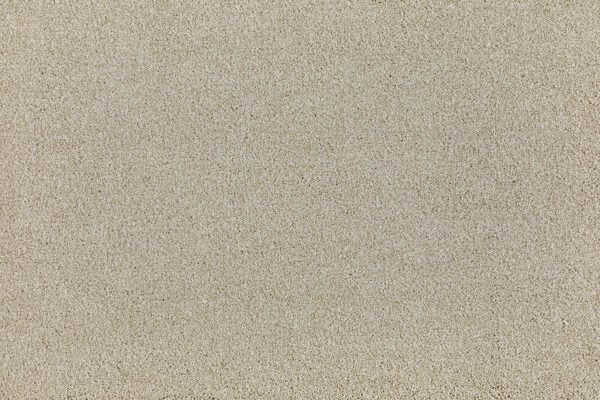 Verviers Carpet