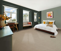 Pinnacle Carpet