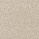 Invictus Severus Carpet