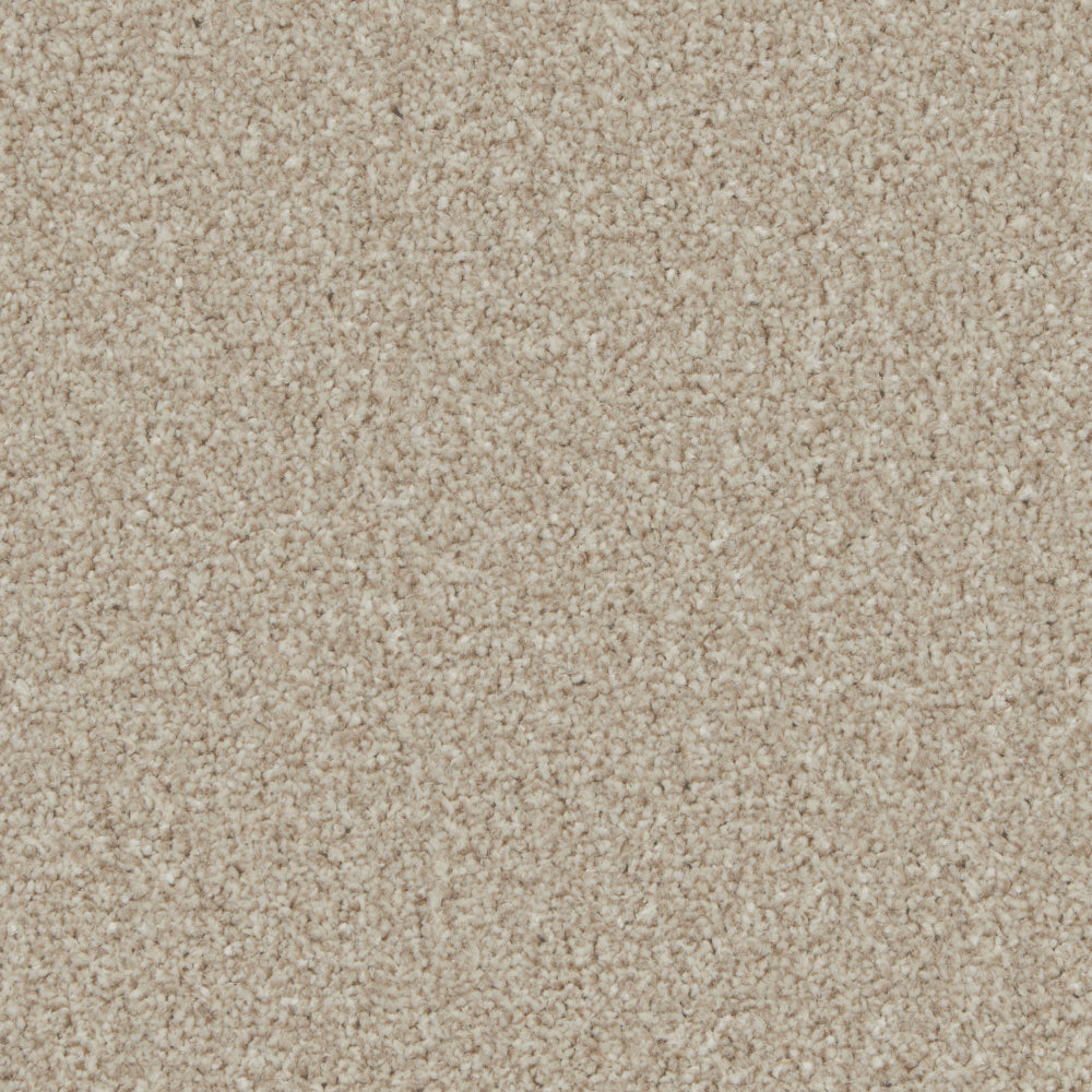 Portmore Classic 34oz Carpet