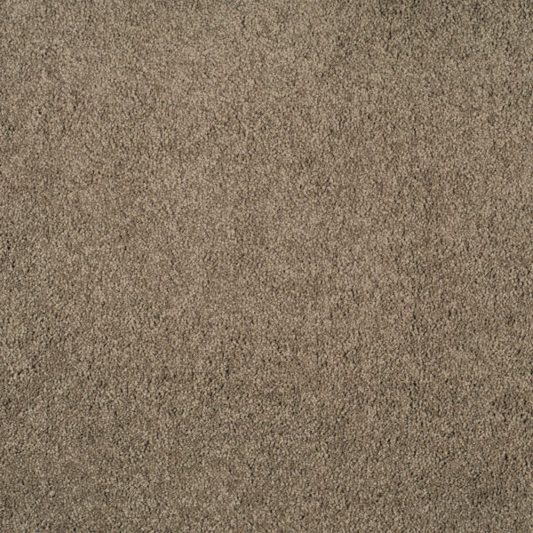 Magical Feeling Carpet