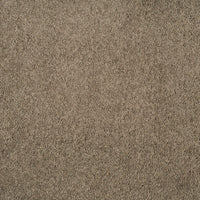 Magical Feeling Carpet