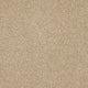 Westbourne Berber Carpet