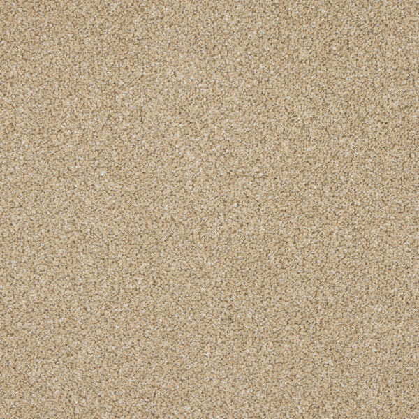 Westbourne Berber Carpet