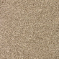 Invictus Darius 50oz Carpet