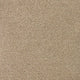 Invictus Darius 50oz Carpet