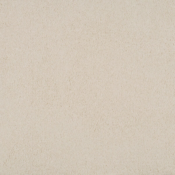 Magical Feeling Carpet