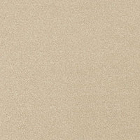 Invictus Darius 50oz Carpet