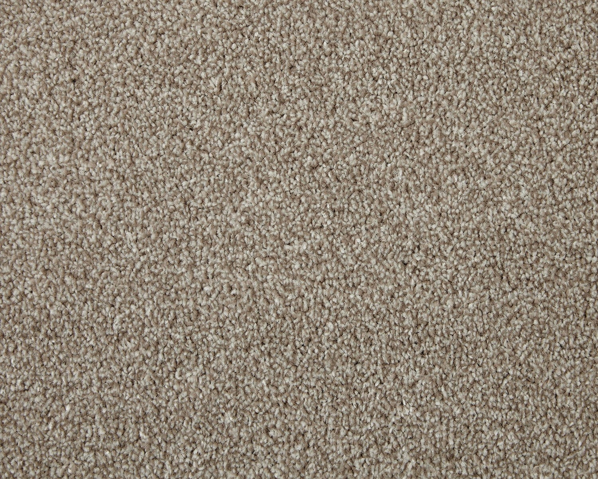 Trojan Elite Carpet