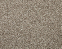 Trojan Elite Carpet