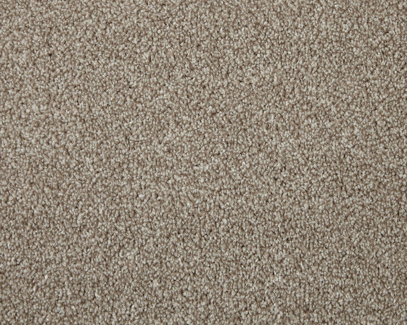 Trojan Elite Carpet