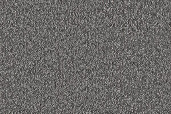 Delight Carpet