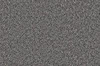 Delight Carpet
