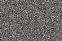 Delight Carpet