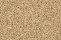 Grange Wilton Carpet - Ulster