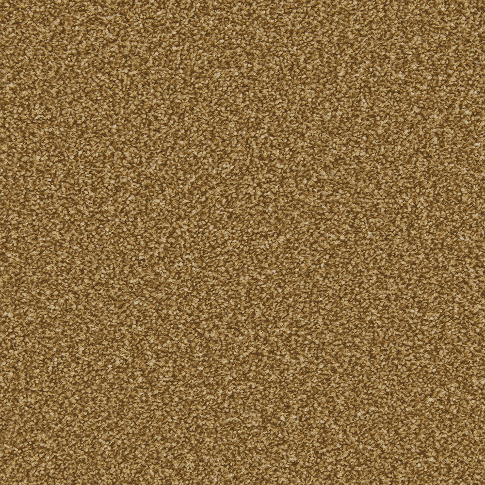 Trojan Plus Carpet