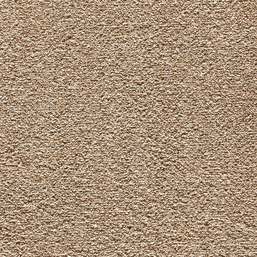 Endless Charm Carpet