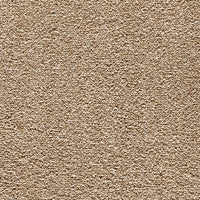 Endless Charm Carpet