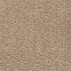 Endless Charm Carpet