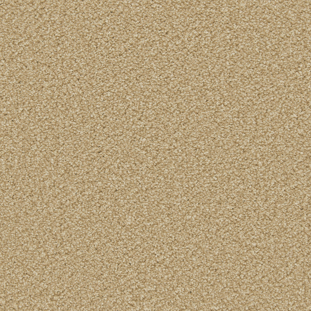 Trojan Plus Carpet