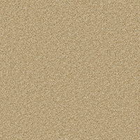 Trojan Plus Carpet