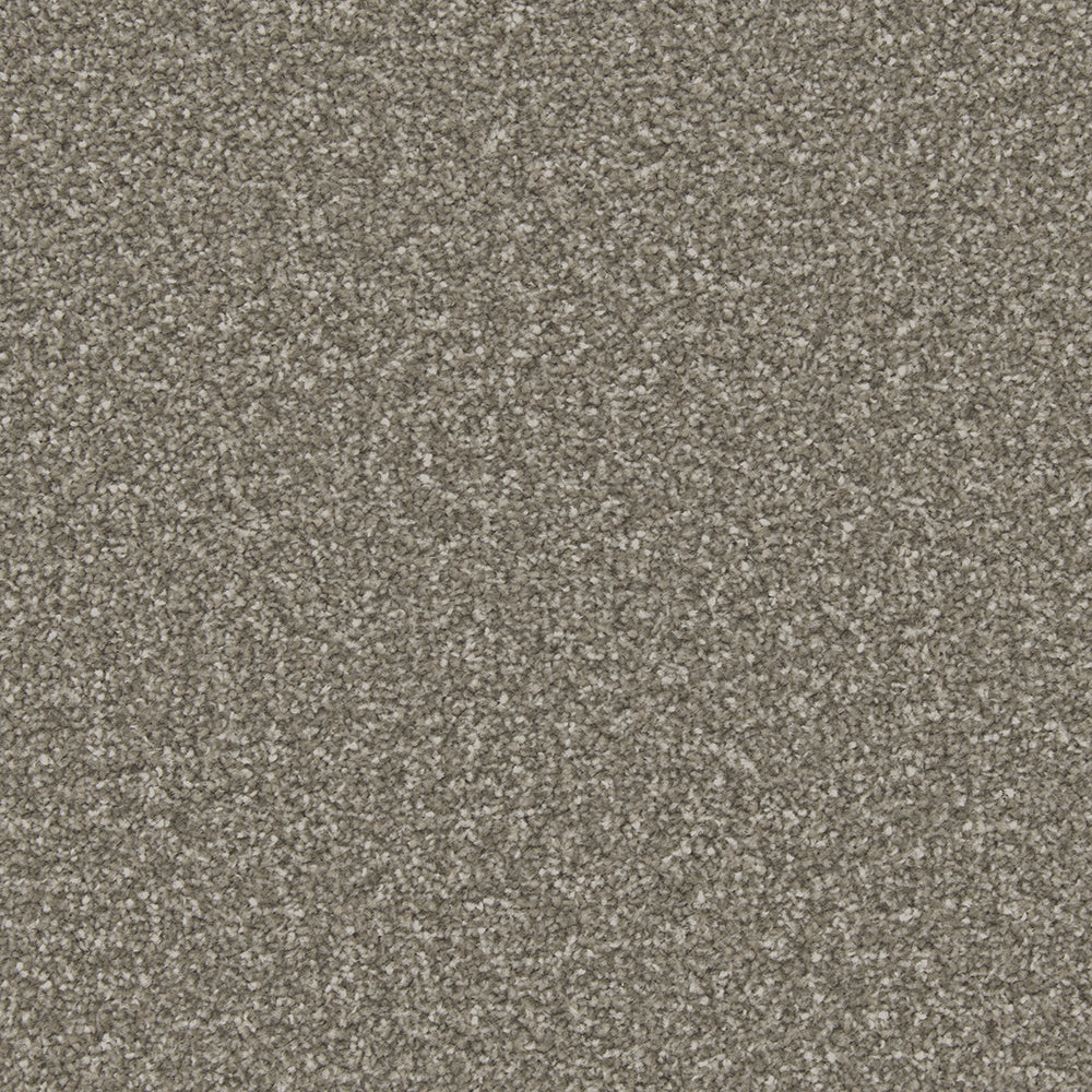 Trojan Plus Carpet
