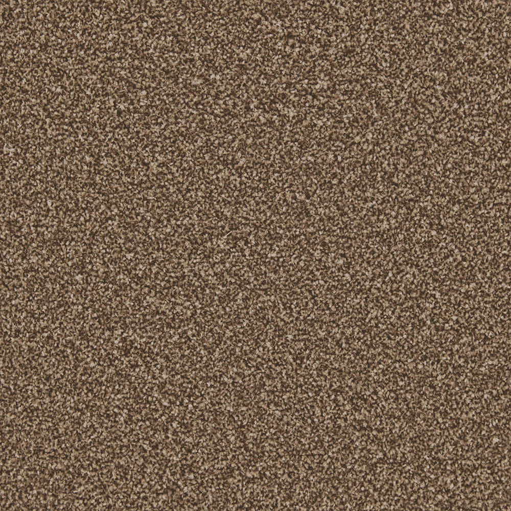 Trojan Plus Carpet