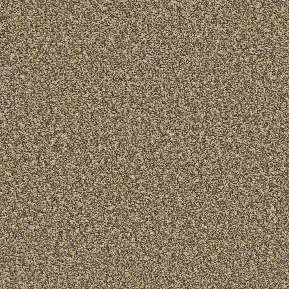 Trojan Plus Carpet