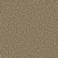 Trojan Plus Carpet