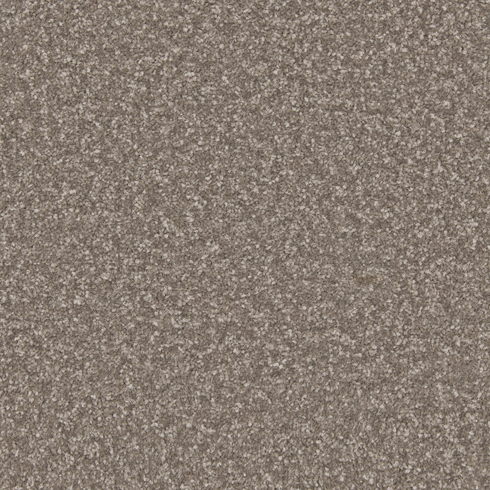 Trojan Plus Carpet