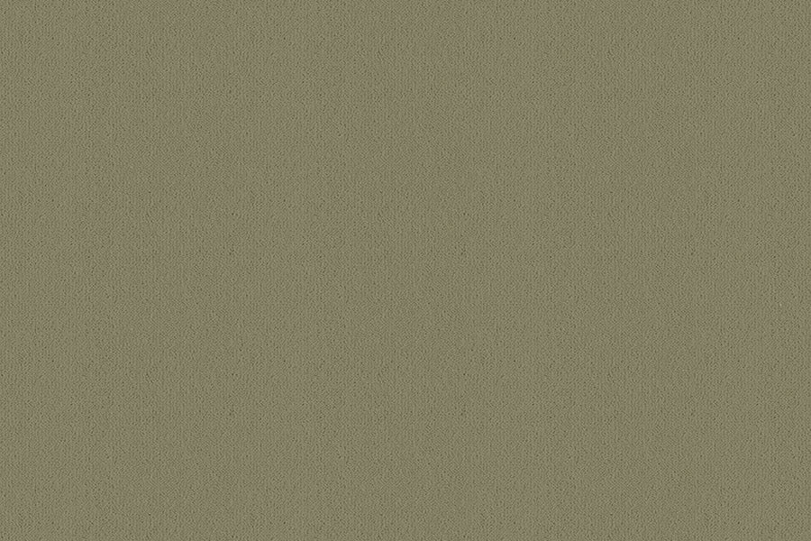 Velvet Carpet - Ulster