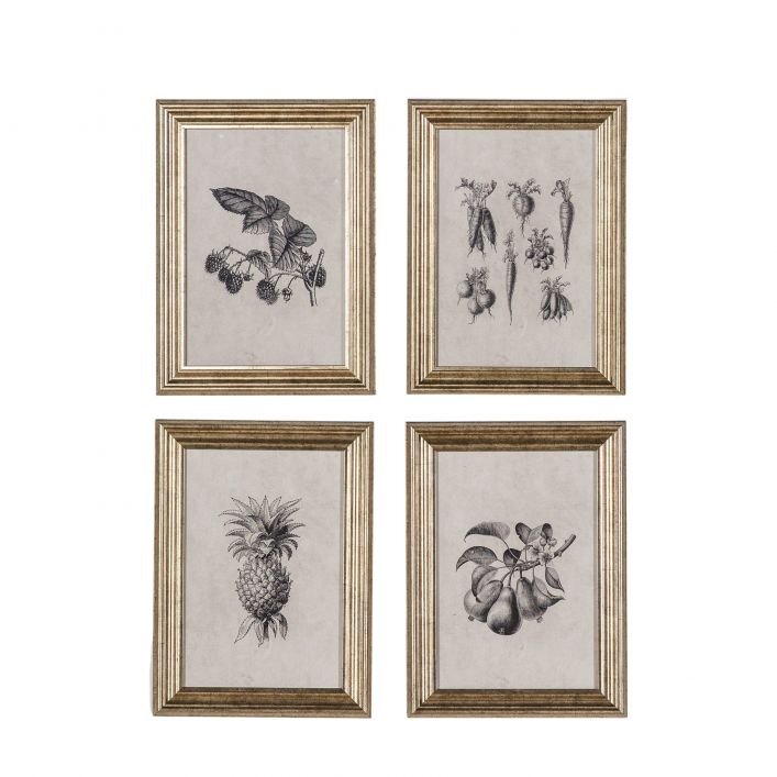Allotment Sketch Quad
