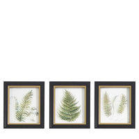 Alpini Botanical Wall Art Trio