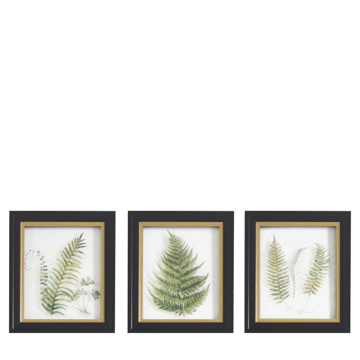 Alpini Botanical Wall Art Trio