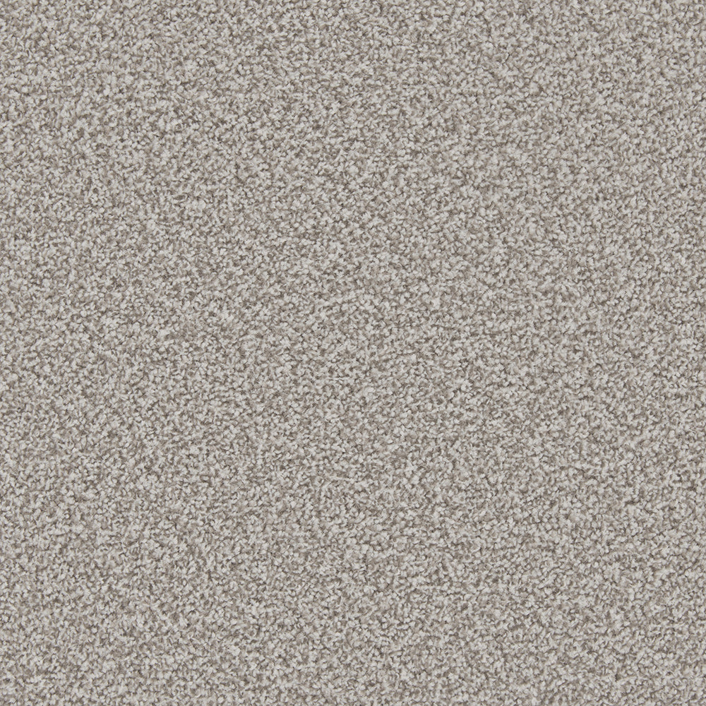 Trojan Plus Carpet