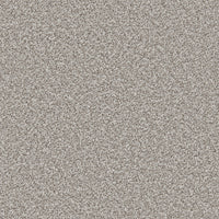 Trojan Plus Carpet