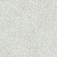 Polyflor Expona Commercial LVT Flooring