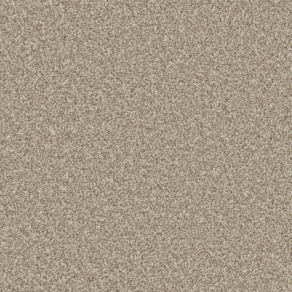 Trojan Plus Carpet