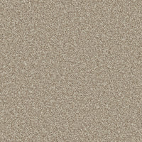 Trojan Plus Carpet