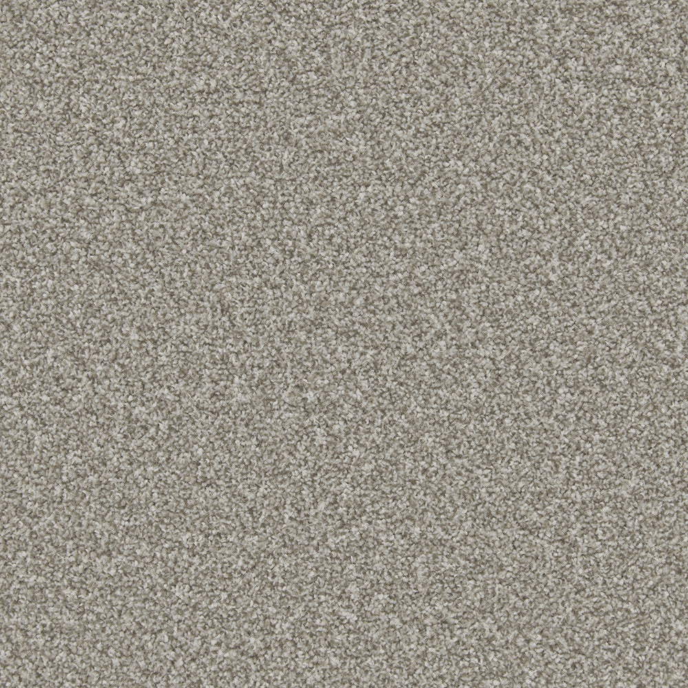 Trojan Plus Carpet